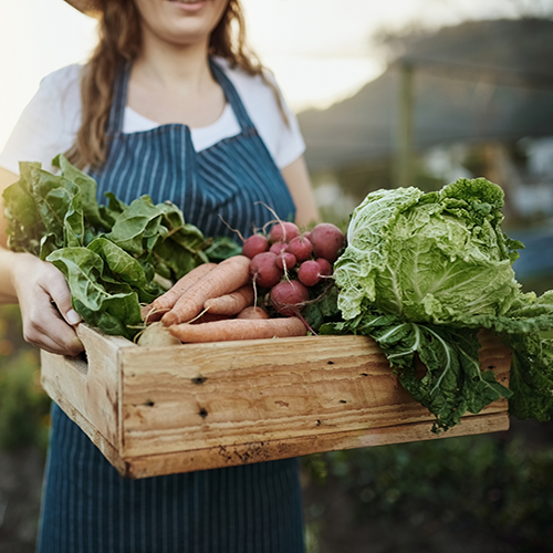 SEN-kasse med grønnsaker-500x500